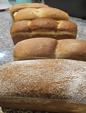 Especial Pan de Molde